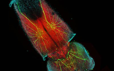 Equinoccio de marzo: empoderamiento y sostén