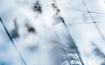 Solsticio de Capricornio 2023